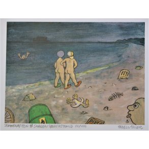 Sommeraften ved Skagen Snderstrand