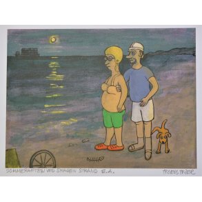 Sommeraften ved Skagen Strand